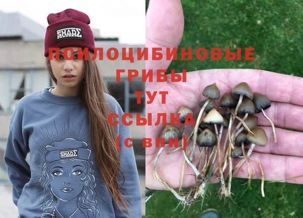 spice Гусиноозёрск
