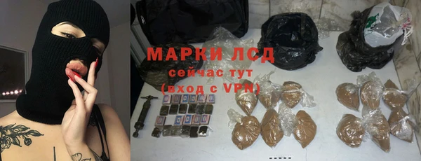 мдпв Гусев