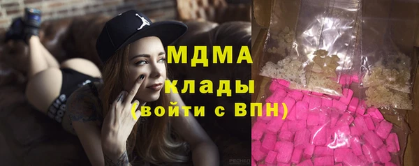 мдпв Гусев