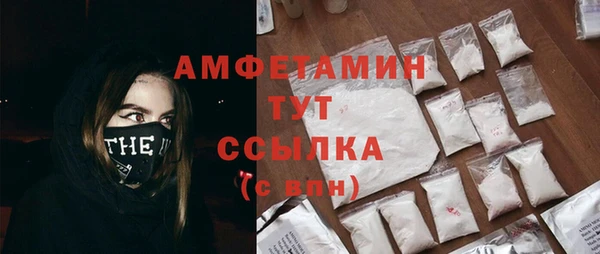 индика Горно-Алтайск