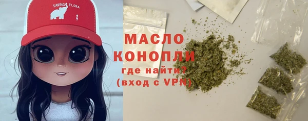 мдпв Гусев