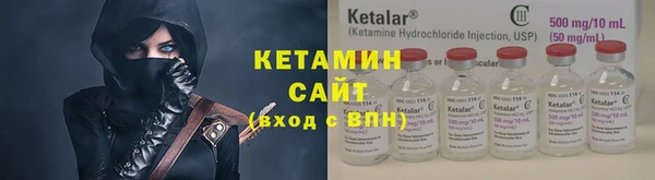 мдпв Гусев