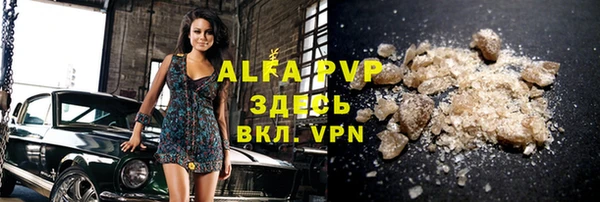 индика Горно-Алтайск