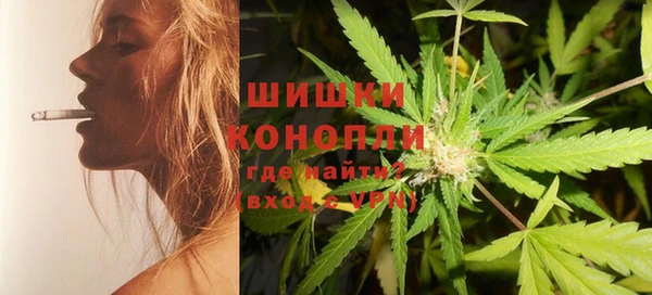 spice Гусиноозёрск