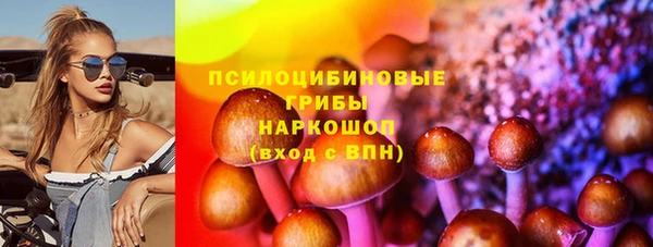 индика Горно-Алтайск