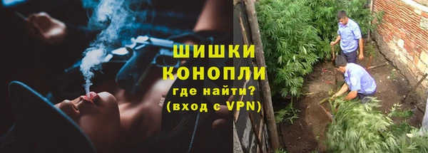 мдпв Гусев