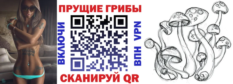 купить наркотик  Ершов  Галлюциногенные грибы GOLDEN TEACHER 