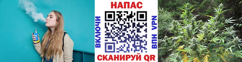 Шишки марихуана Ganja Ершов